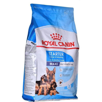 ROYAL CANIN Maxi Starter Mother & Babydog 4kg