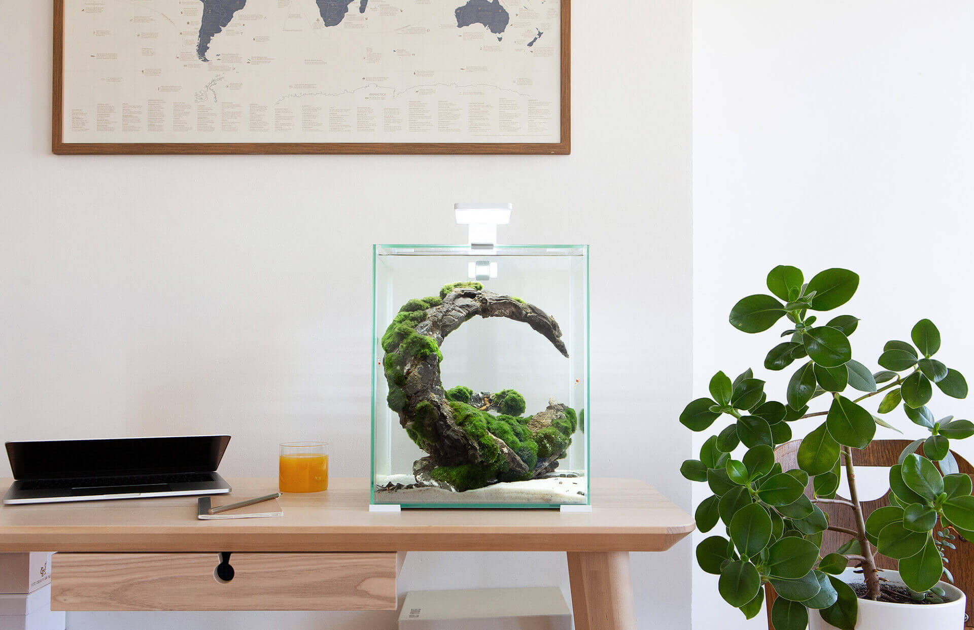 AQUAEL Aquarium Shrimp Set Smart Day & Night 10L Blanc