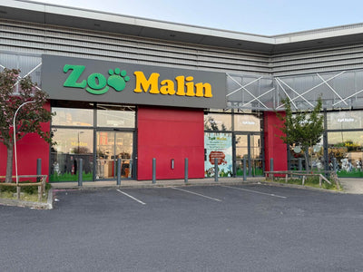 ZOOMALIN Biberon RPL Cosy 500 ml Vert