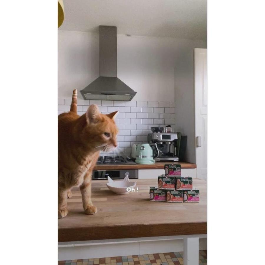 EQUILIBRE & INSTINCT Sauce au poulet aromatisée au cheddar pour chat adulte 90g
