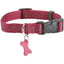 Collier Safe pour chien