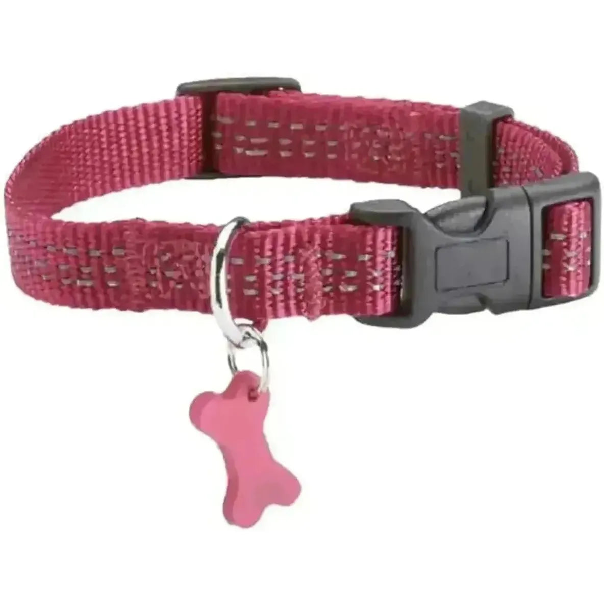 Collier Safe pour chien