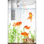 AQUAEL Aquarium Shrimp Set Smart Day & Night 10L Blanc