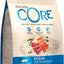 WELLNESS CORE Chat Croquettes Ocean Saumon & Thon 300g