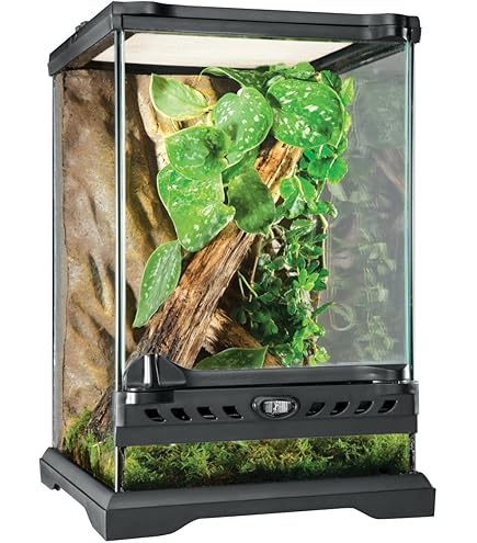ZOOMED Terrarium Naturalistic 30x30x45 cm