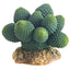 HOBBY-DOSHE AQUARISTIK Cactus Atacama 7cm Décoration Artificielle pour Terrarium