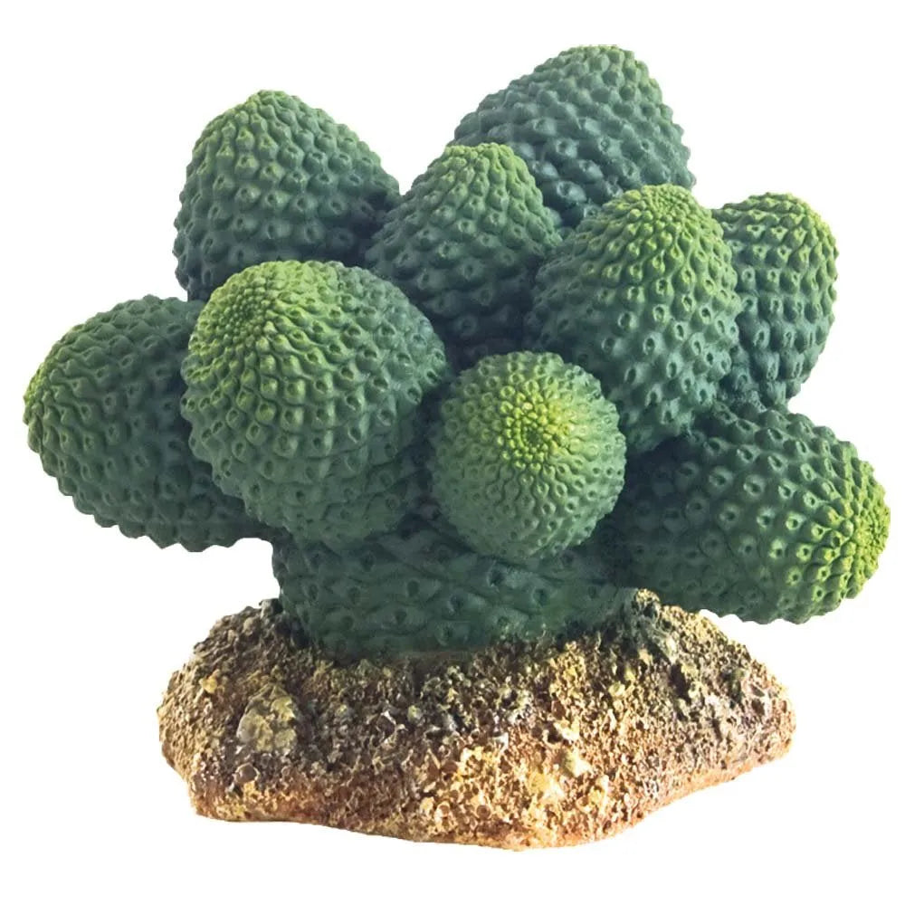HOBBY-DOSHE AQUARISTIK Cactus Atacama 7cm Décoration Artificielle pour Terrarium