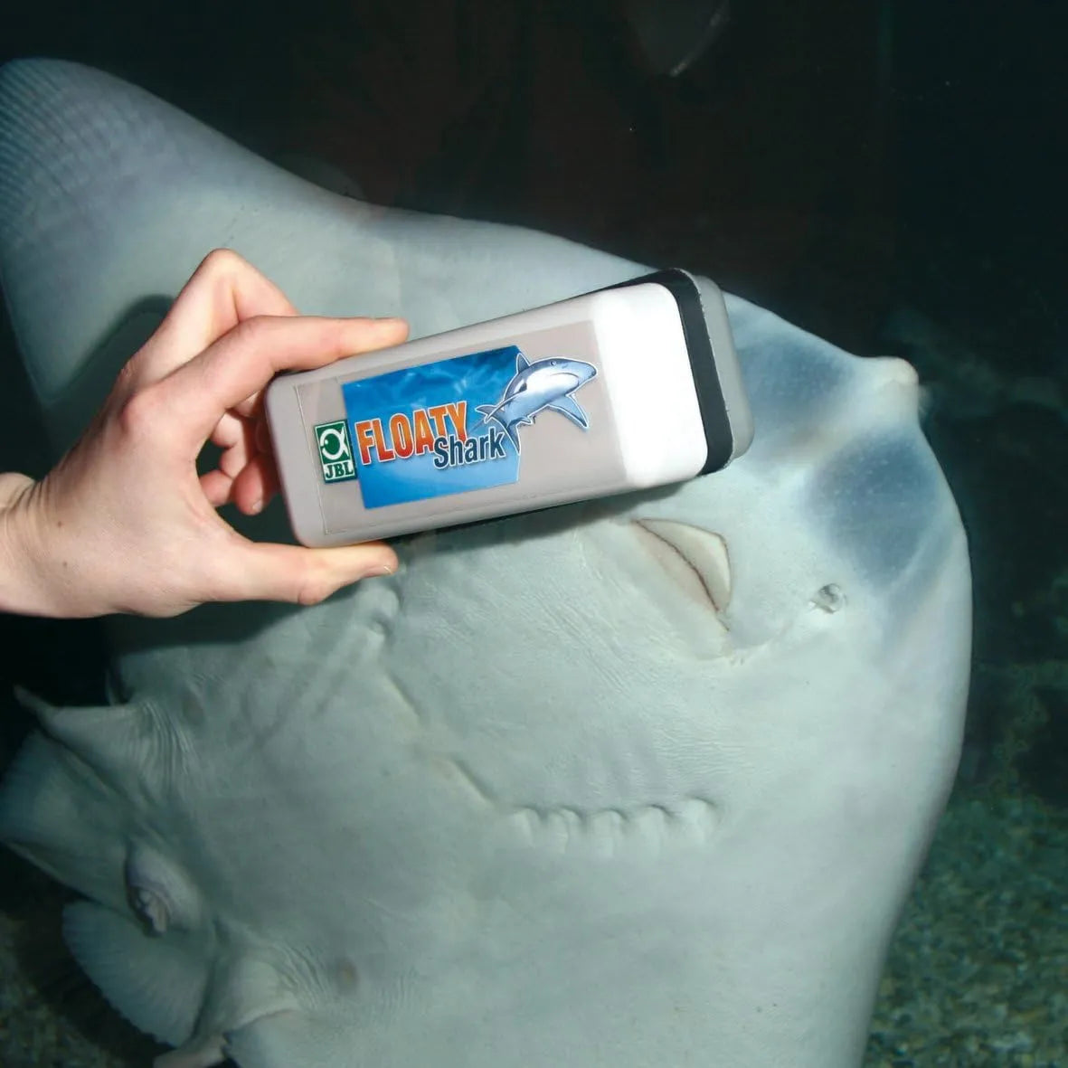 JBL Floaty Shark Aimant Nettoyeur de Vitres pour Aquarium Vitres jusqu'à 30 mm