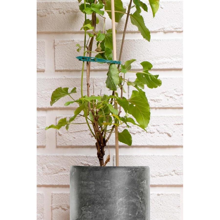 LAROY Pince à Plante 50 cm Noir