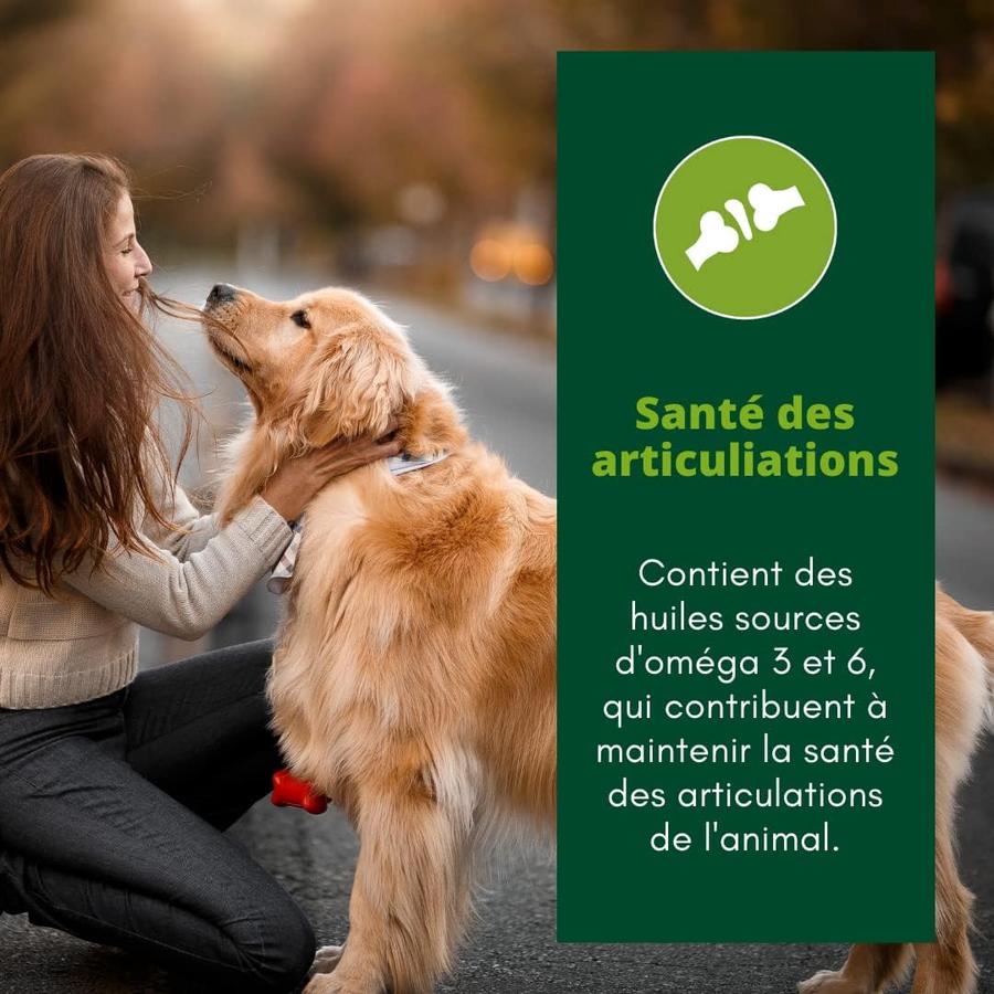 EQUILIBRE & INSTINCT Terrine pour chien âgé riche en volaille et petits pois 9x300g