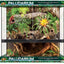 ZOOMED Paludarium 91x46x91 cm 80L