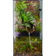 ZOOMED Paludarium 91x46x91 cm 80L