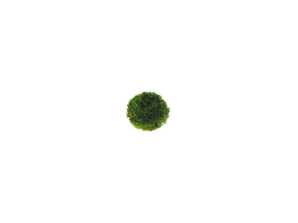 HOBBY-DOSHE AQUARISTIK Plant Ball 9 cm Décoration Aquarium Plastique Vert