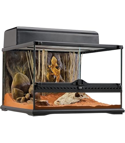 ZOOMED Terrarium Paludarium 91x46x30.5 cm avec nano-aquarium intégré