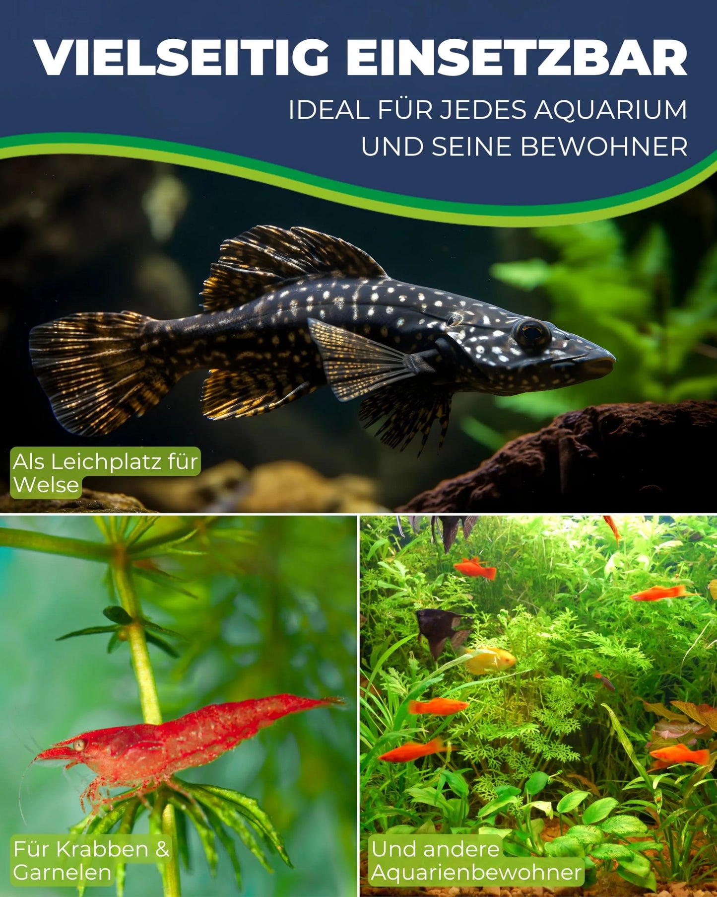 HOBBY-DOSHE AQUARISTIK Catfish Cave Red S Cachette pour poissons d'aquarium Rouge Taille S