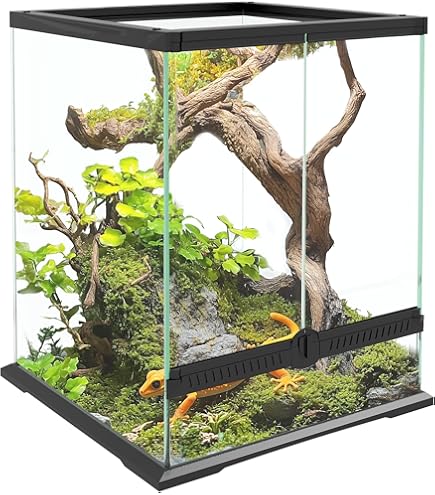 ZOOMED Terrarium Naturalistic 30x30x45 cm