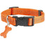 Collier Safe pour chien