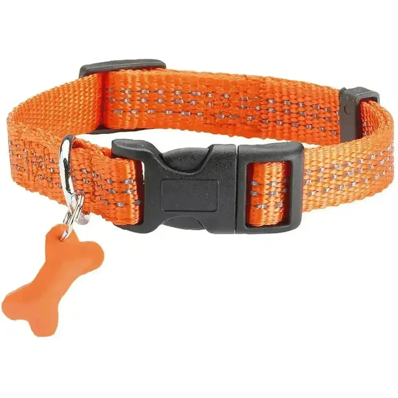 Collier Safe pour chien