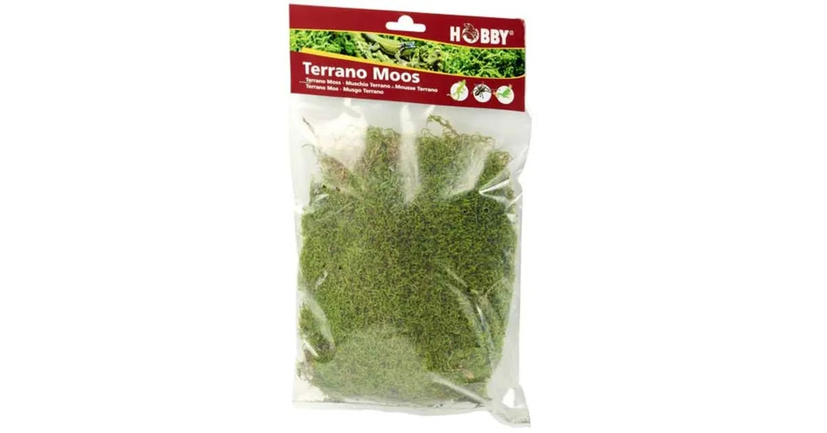 HOBBY-DOSHE AQUARISTIK Terrano Mousse Naturelle 100% Naturelle pour Terrarium 100g