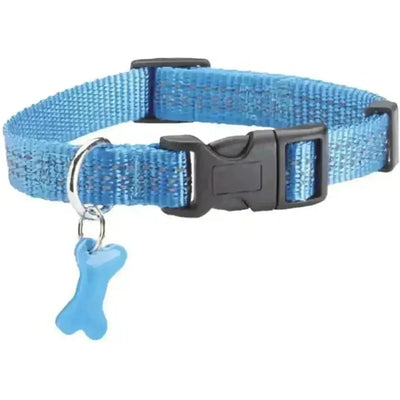 Collier Safe pour chien