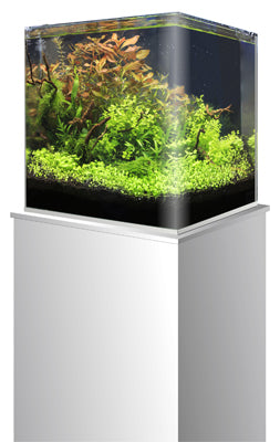 CUVE NANOTANK 30 AMTRA 30L