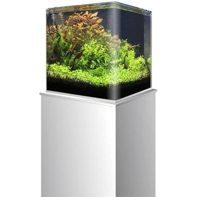 CUVE NANOTANK 60 AMTRA 60L