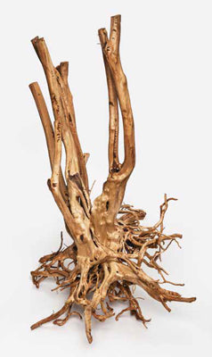 WOOD STUMP 60-150cm le Kg