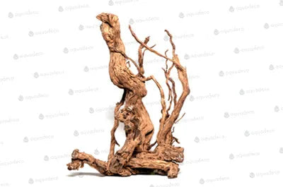 RACINE CURL WOOD M  60 à 80cm 1p