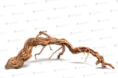 RACINE CURL WOOD S  30 à 55cm 1p