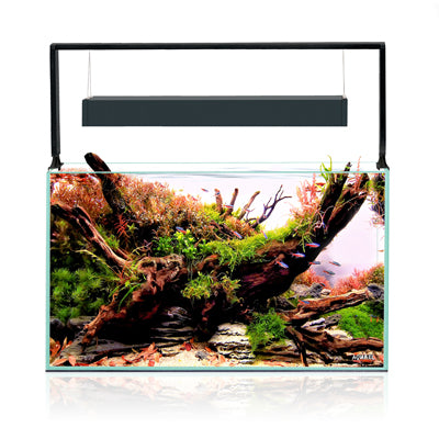 AQUARIUM ULTRASCAPE 60 SET FOREST 64L AQUAEL