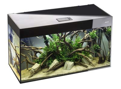 *AQUARIUM GLOSSY 80 SET NOIR DN  led 2x14w 80x35x54cm 125L (sur cde)