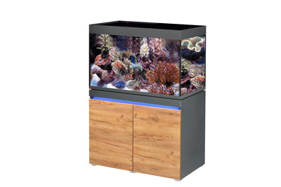 *INCPIRIA MARINE 330 combi GRAPHIT/NATURE 4 x power LED+