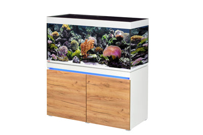 *INCPIRIA MARINE 430 combi ALPIN/NATURE 4 x power LED+ (sur commande)