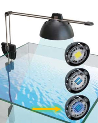 EHEIM PowerLED ACTINIC 6471 Rampe LED Actinique pour Aquarium 742 mm