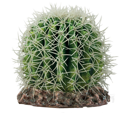 CACTUS SONORA M  15x15x13cm HOBBY--
