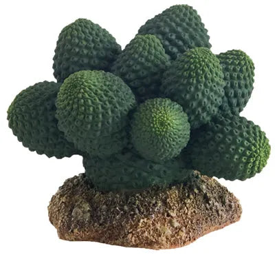 HOBBY-DOSHE AQUARISTIK Cactus Atacama 7cm Décoration Artificielle pour Terrarium