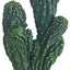 HOBBY-DOSHE AQUARISTIK Cactus Victoria 19cm Décoration Résine pour Terrarium
