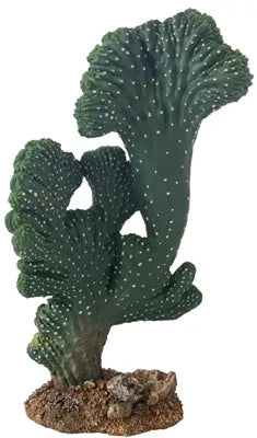 HOBBY-DOSHE AQUARISTIK Cactus Victoria 22 cm Décoration artificielle pour terrarium