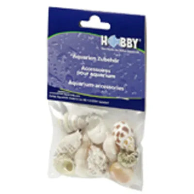 HOBBY-DOSHE AQUARISTIK Coquilles Sea Shells Set M 10 pièces
