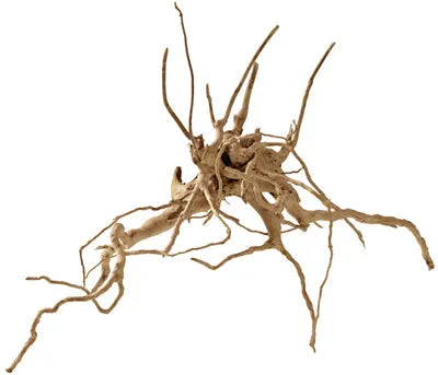 RACINE FINGERWOOD L 40-60cm HOBBY