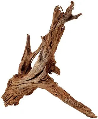 RACINE MANGROVE XL 50-70cm HOBBY