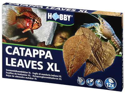 CATAPPA LEAVES XL HOBBY