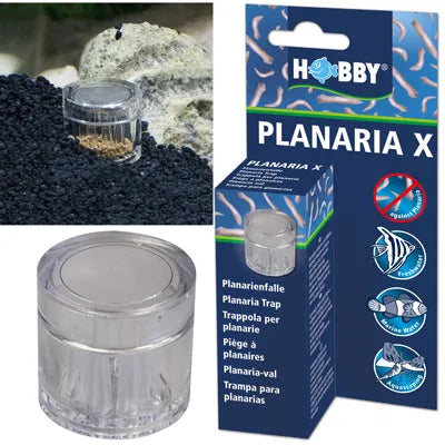 PLANARIA X  piège à planaires HOBBY