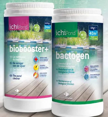 IchiPond DUO PACK 24000