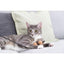 TRIXIE Canne à pêche avec balles CityStyle pour chat 40 cm Bois et Feutre Gris