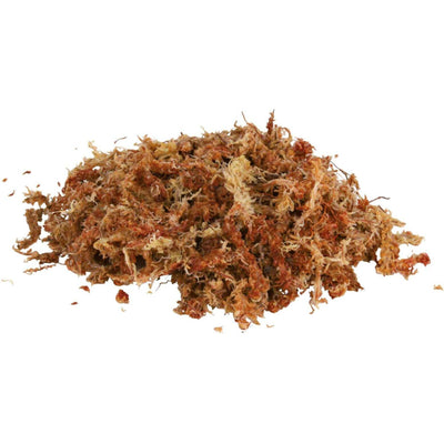TRIXIE Mousse de Sphaigne pour Terrarium Tropical 100g (4,5L)