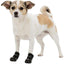TRIXIE Walker Active Bottes de Protection pour Chien Taille S/M 2 pièces Noir