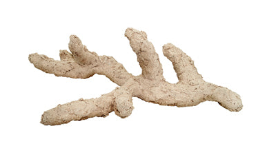 ARKA BIOTECHNOLOGIE Roche céramique Riffast Natur 20cm pour aquarium récifal