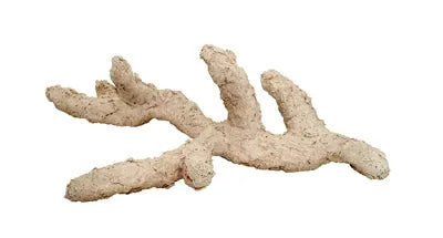 ROCHE ARKA céramique Riffast Natur 50cm