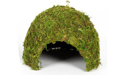 DOME MOUSSE NATURELLE 23x23x18cm REPTIZOO